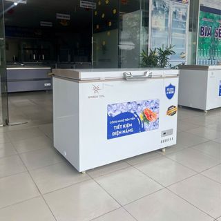 Tủ đông Bamboo Cool 300L