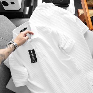 Áo thun polo nam. Chất cá sấu cotton 100% vải nhập