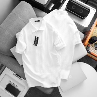 Áo thun polo nam. Chất cá sấu cotton 100% vải nhập
