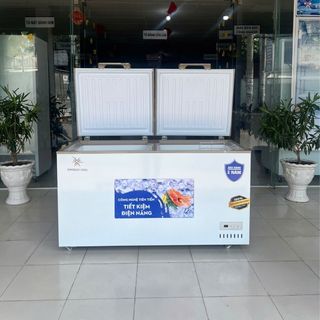 Tủ đông Bamboo Cool 500L