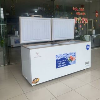 Tủ đông Bamboo Cool 650L
