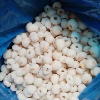 VẢI THIỀU ĐÔNG LẠNH IQF- Dạng cùi nguyên, bỏ vỏ bỏ hạt - Tiện lợi tối đa cho sản xuất