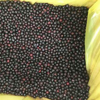 VIỆT QUẤT ĐÔNG LẠNH IQF NHẬP KHẨU - Blueberry size lớn, đạt chứng nhận Organic (có sẵn) - Bán sỉ HCM