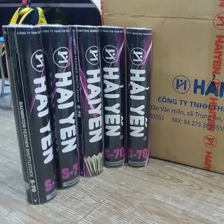 Ống cầu lông Hải yến s70