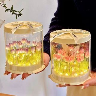 Đèn ngủ hoa tulip đóng hộp sẵn làm quà tặng, trọn bộ có đèn hộp trong suốt như hình