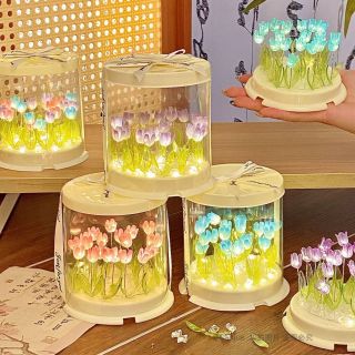 Đèn ngủ hoa tulip đóng hộp sẵn làm quà tặng, trọn bộ có đèn hộp trong suốt như hình