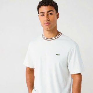 Áo Phông Nam,   chất cotton dệt kim dày - mịn