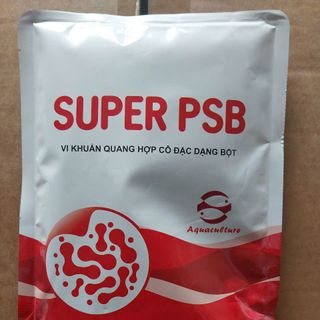 SUPER PSB – Vi Khuẩn Quang Hợp Rhodo Xử Lý Nước Ao Nuôi