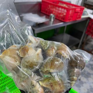 Ốc BULOT pháp 10-20con kg vĩ 500gr (giao tphcm)