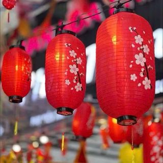 Lồng đèn treo Tết in hoa đào số 12