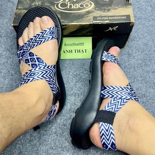 Giày Sandal Nam Chaco Mã D118
