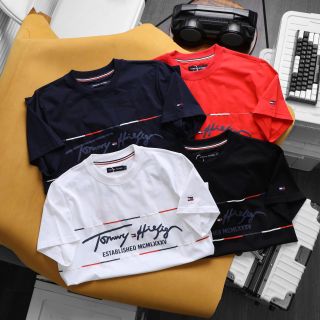 Áo thun nam. Chất thun cotton 4c cao cấp xịn. Size: smlxlxxl 55-90kg