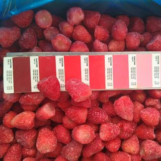 Trái cây nhập khẩu chính ngạch – chất lượng đạt chuẩn châu Âu