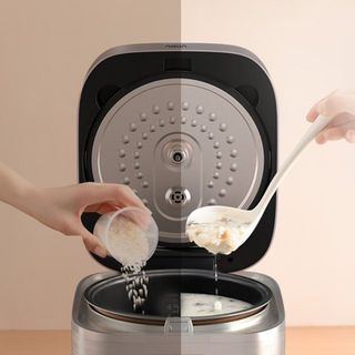 Nồi cơm điện tử AQUA AQS-RBC401R(N)-VN