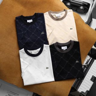 Áo thun nam. Chất thun cotton 4c cao cấp xịn   Full tem tag túi zip