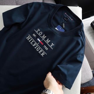 Áo thun nam. Chất 100% COTTON chính phẩm co giản 4 chiều xịn sò dày dặn mịn mát, mẫu thêu BASIC