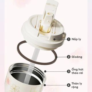 Ly giữ nhiệt BST HOA ANH ĐÀO GERM GE-24AW-B85