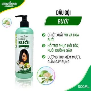 DẦU GỘI BƯỞI - LUCKY STAR