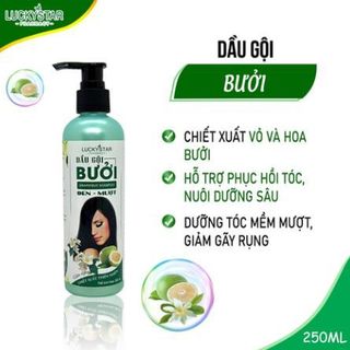 DẦU GỘI BƯỞI - LUCKY STAR