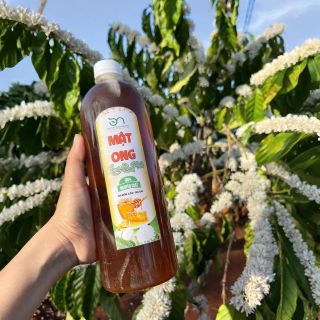 MẬT ONG HOA CÀ PHÊ – NGỌT THANH TỪ MÙA HOA TÂY NGUYÊN (1000 ml)