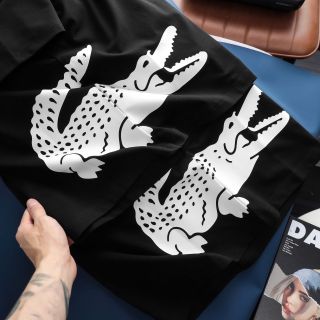 Áo thun nam. chất thun cotton 4c cao cấp, in lụa sắc nét, bao bong tróc