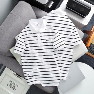 Polo Nam. Chất cá sấu cotton 100% vải nhập
