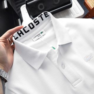 Áo thun polo nam.  Chất 100% COTTON cá sấu mắt chim chính phẩm co giản 2 chiều