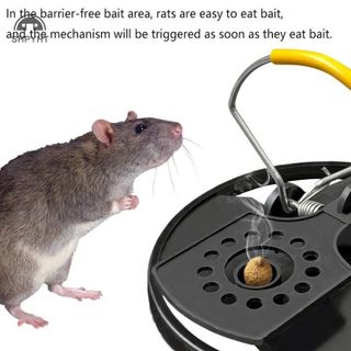 Bẫy chuột tự động tròn lò xo