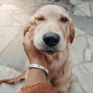 CUFF CAO CẤP NAM VÀ NỮ DANIEL W MÀU BẠC BA SỌC HỘP NƠ