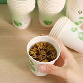 SET 50 CỐC GIẤY GẤU TRÚC 235ML