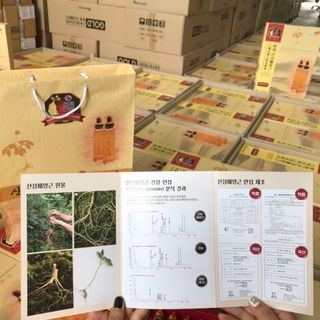 TINH CHẤT SÂM NÚI CAO CẤP MANYOUNG