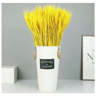 BÓ BÔNG LÚA KHÔ DERCO TRANG