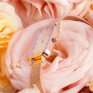 ĐỒNG HỒ NỮ CAO CẤP DANIEL W QUADRO ROUGE DÂY LƯỚI CN HỒNG XÀ CỪ HỘP NƠ TEM