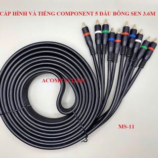Cáp hình và tiếng Component 5 đầu BÔNG SEN 3.6M- MS11 (ACCOMPAV12BK)