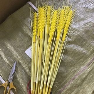 BÓ 15 CÂY LÚA LED TRANG TRÍ TẾT, DECOR NHÀ CỬA