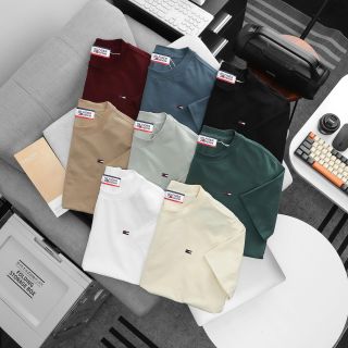 Áo thun nam. Mẫu áo logo basic không bao giờ lỗi mốt.  Logo thêu bắt mắt, nét đẹp xuất sắc