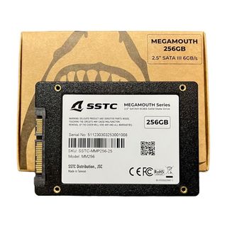 Ổ cứng SSD SSTC M110-HE-256GB - Hàng chính hãng | Bảo hành 60 tháng