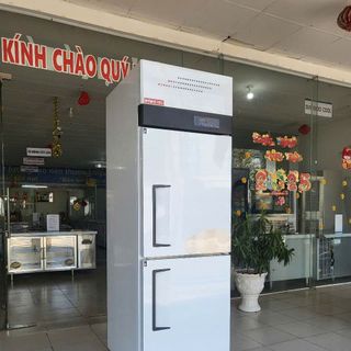 Tủ đông/mát 2 cánh inox Bamboo Cool 500 lít