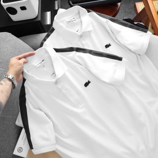 Áo thun polo nam. Chất cá sấu cotton 100% vải nhập ,thêu nỗi trước sau công nghệ cao