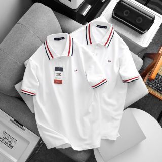 Áo polo nam. Chất cá sấu cotton 100%