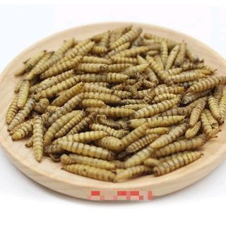 Bio SÂU CANXI sấy khô loại 500g thức ăn dinh dưỡng cho vật nuôi