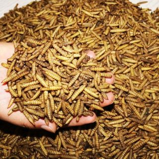Bio SÂU CANXI sấy khô loại 250g thức ăn dinh dưỡng cho vật nuôi