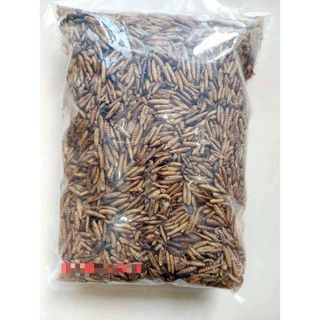 Bio SÂU CAN XI sấy khô loại 100g thức ăn dinh dưỡng cho vật nuôi