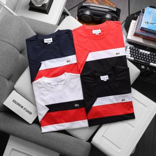 Áo thun nam. Chất thun cotton 4c cao cấp xịn   Full tem tag túi zip,   unisex nam nữ couple