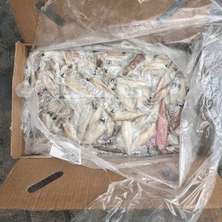 MỰC ỐNG MỸ NGUYÊN CON size 10/15 cm/con, 10kg/block ( 30-35 con/kg)