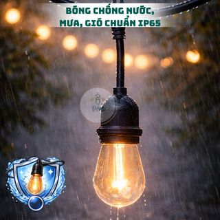 Dây đèn 3W LED EDISON đèn led trang trí ngoài trời - Chống nước IP65 - Đui Đúc - Chống vỡ , Cáp cao su/PU, Thay được bóng, Decor trang trí tết