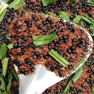 TRÀ GẠO LỨC ĐẬU ĐEN LÁ DỨA ĐÓNG HỘP 1KG - WINNIE HOUSE
