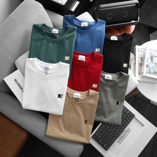 Áo thun nam. Chất vải cotton 4 chiều mịn mướt  Logo sắc nét xịn xò