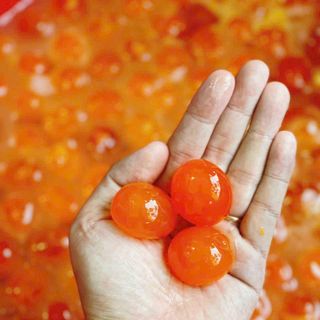 Lòng Đỏ Trứng Muối Nhiều Size Túi 50 Trứng Giá Sỉ