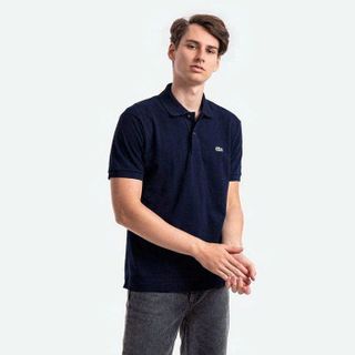 Áo thun polo nam. Chất cotton gai pique dày vừa vặn, logo thêu, form slim fill